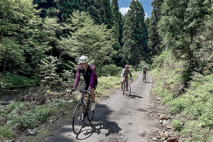 Still Going Fine at This Point photo by Christoph Militat -- Kyoto, Japan -- Copyright 2021 Christoph Militat, https://regex.info/blog/ Still Going Fine at This Point photo by Christoph Militat -- Kyoto, Japan -- Copyright 2021 Christoph Militat, https://regex.info/blog/