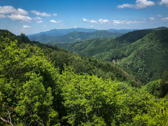 Well, Okay, This is Nice -- Kyoto, Japan -- Copyright 2021 Jeffrey Friedl, https://regex.info/blog/ Well, Okay, This is Nice -- Kyoto, Japan -- Copyright 2021 Jeffrey Friedl, https://regex.info/blog/