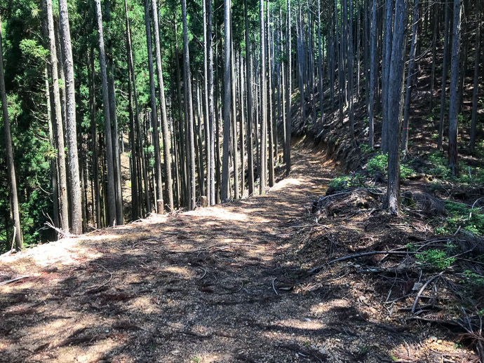 Looking Back from another dead-end -- Kyoto, Japan -- Copyright 2021 Jeffrey Friedl, https://regex.info/blog/ Looking Back from another dead-end -- Kyoto, Japan -- Copyright 2021 Jeffrey Friedl, https://regex.info/blog/