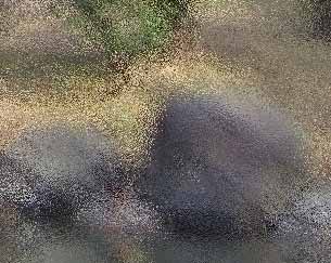 photo after one type of 'Distort, Glass' filter photo after one type of 'Distort, Glass' filter