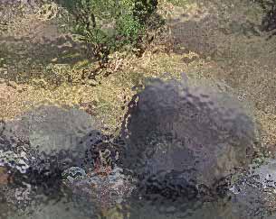 photo after a different type of 'Distort, Glass' filter photo after a different type of 'Distort, Glass' filter